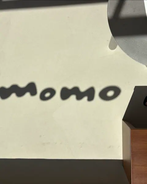 The momo wordmark cast as a light projection on the wall